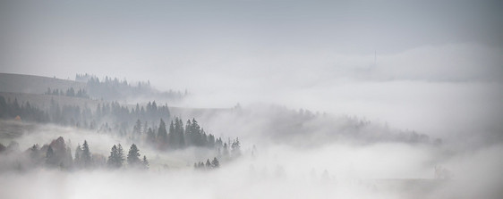 低云覆盖的森林全景秋天的雨雾山上薄雾坠落林地图片