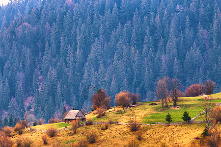 山坡上的山村青山上的孤独的房子春天的风景图片