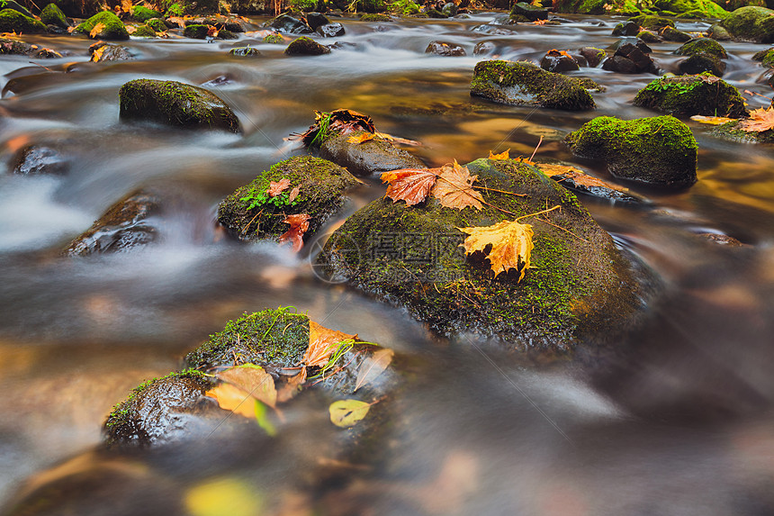 卡梅尼斯河秋天,波西米亚瑞士秋天卡梅尼斯河石头上的叶子长时间暴露,瑞士波西米亚,捷克共国图片