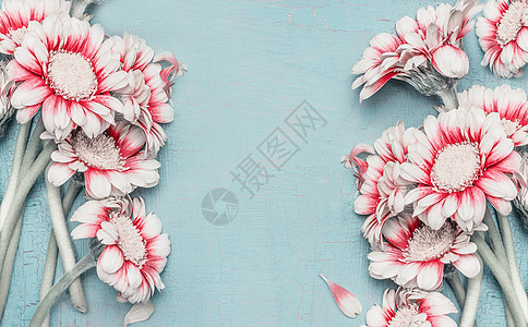 可爱的粉彩花框架与雏菊绿松石蓝色破旧别致的背景,顶部的,边界母亲节婚礼生日快乐活动的问候布局图片