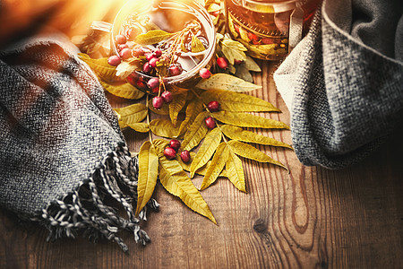 杯带红浆果叶子围巾的秋茶图片