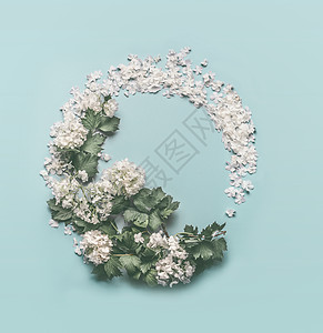 花圈由白花花瓣花淡蓝色背景上制成春夏花架平躺,俯视婚礼生日其他的邀请函卡片图片