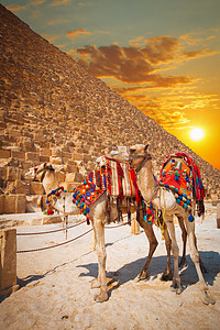 吉萨法老的金字塔开罗,埃及图片