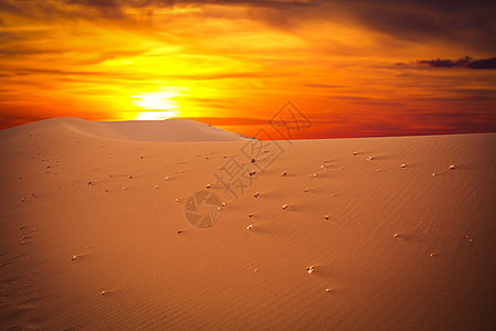 沙漠蓝天中的沙丘图片