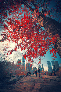 纽约市曼哈顿中央公园全景秋湖与摩天大楼五颜六色的树木与倒影图片