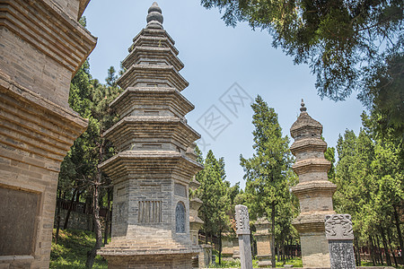 少林寺的森林宝塔中国少林寺的森林宝塔图片