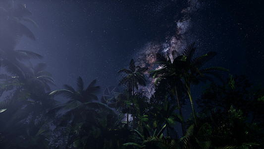 热带雨林上空的银河系的4k天体这幅图像的元素由美国宇航局提供热带雨林上空的银河系的4k天体背景图片