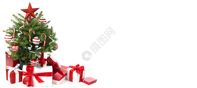 装饰诞树,礼品盒隔离白色背景上装饰诞树图片