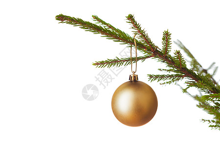 金色树枝诞节庆祝节日背景与copyspace诞树装饰装饰诞树树枝上隔离白色背景上装饰装饰的诞树上背景
