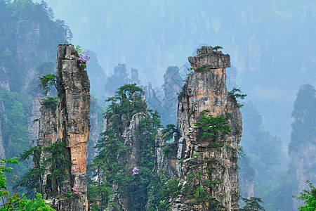 中国著名的旅游景点张家界石柱崖山雾云中,湖南武陵源,中国带着相机锅张家界山脉,中国背景图片