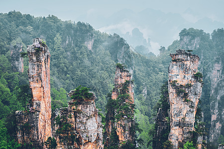 中国著名的旅游景点张家界石柱崖山雾云中,湖南武陵源,中国张家界山脉,中国图片