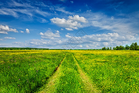 春夏背景乡村道路绿草田草甸风景与蓝天春夏乡村道路绿野风光中的景观图片