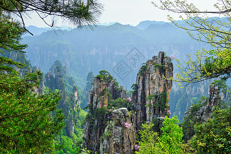 中国著名旅游景点湖南武陵源张家界石柱崖山张家界山脉,中国图片