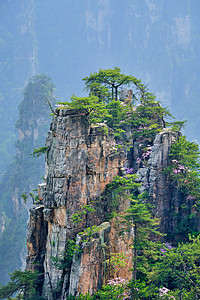 张家界森林中国著名的旅游景点张家界石柱崖山日落湖南武陵源张家界山脉,中国背景