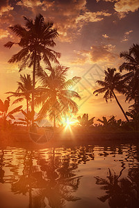 喀拉拉旅游背景喀拉拉背水上的日落阿勒佩伊,喀拉拉邦,印度透镜耀斑漏光效应喀拉拉背水上的日落图片