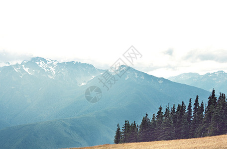 夏天阳光明媚的日子里,风景如画的山景适合自然背景图片