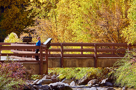 桥上的女人秋天的树木河流景观洛基山,科罗拉多州,美国图片
