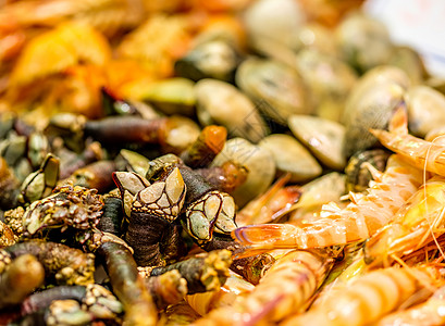 海鲜市场上新鲜的藤条藤壶其他贝壳高清图片
