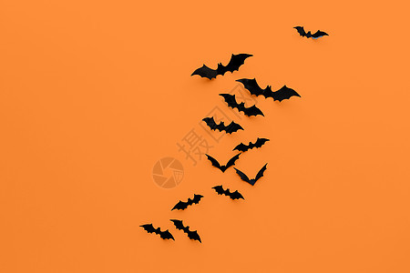 万节装饰品许多黑色纸蝠橙色背景橙色背景下的黑色万节蝙蝠图片