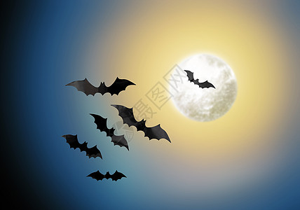 坐在月亮上万节可怕的黑色蝙蝠月光下飞过夜空背景夜空背景上的黑色蝙蝠背景