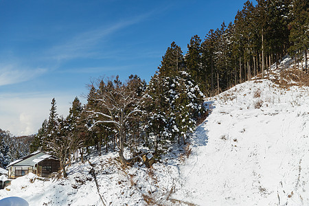 自然景观日本冬季的乡村房屋森林山丘日本冬季的乡村房屋森林山丘图片