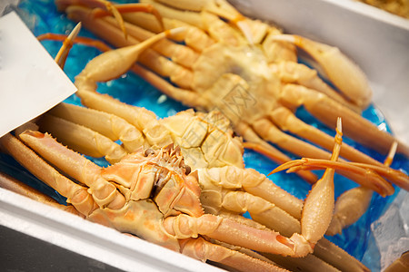 海鲜,销售食品冰镇螃蟹鱼市场鱼类市场上冰上的螃蟹海鲜图片