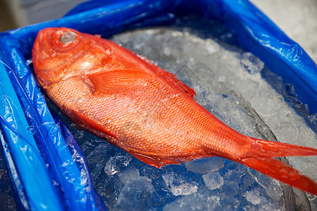 海鲜,销售食品新鲜鱼类日本街头市场日本街头市场的新鲜鱼海鲜图片