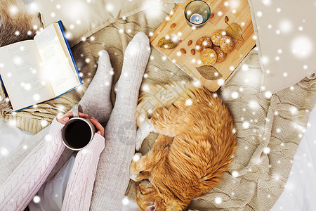 宠物,潮湿冬天的女人带着咖啡,书,饼干红色的塔比猫睡家里的毯子上雪女人带着咖啡猫雪地上睡觉图片