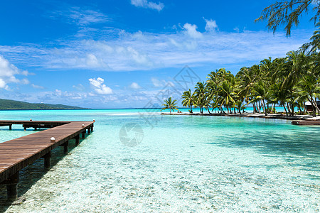 旅行,海景自然木墩热带海滩法属波利尼西亚法属波利尼西亚热带海滩上的木制码头图片