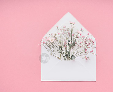 白色信封与小果蝇花粉底,顶部视图与为您的图片