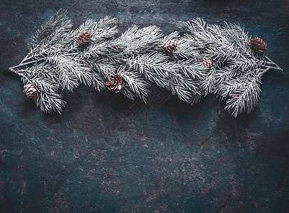 雪覆盖冷杉树枝与锥深蓝色的背景,顶部视图与为您的冬天诞节的图片