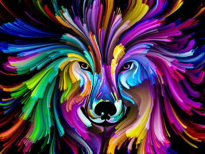 狗漆系列以艺术想象力创造力为的彩色狗肖像抽象背景图片