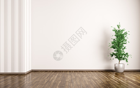 空房间内部背景与植物三维渲染背景图片