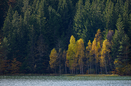 秋天带着叶子,映照安湖上图片