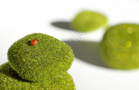 叠绿色的石头瓢虫图片