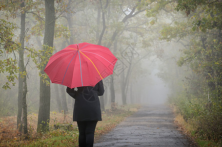 女人带着红色的伞雾林,感沮丧图片