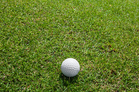 绿色草地上的高尔夫球近景高尔夫球场绿草地上的高尔夫球与合作图片