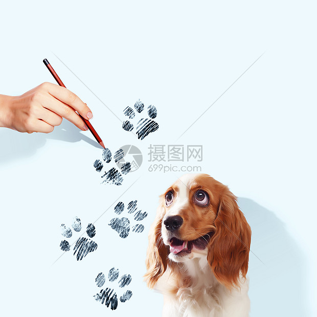 趣的猎犬趣的猎犬的形象与爪子绘图图片