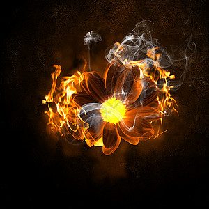 燃烧的花朵火焰中花朵的插图危险背景图片