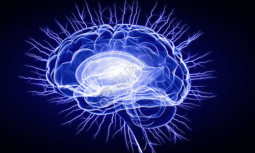 数字人脑蓝色数字背景下人脑的人类智能图片
