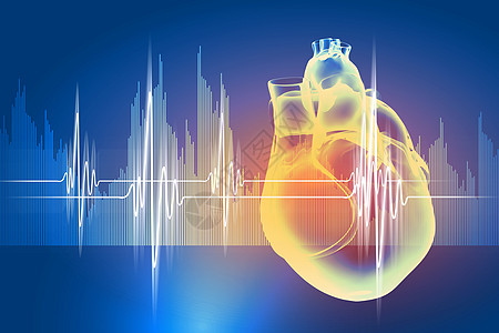 人类的心跳心脏图的虚拟图像图片
