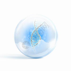 DNA链璃球体内DNA链的图像图片