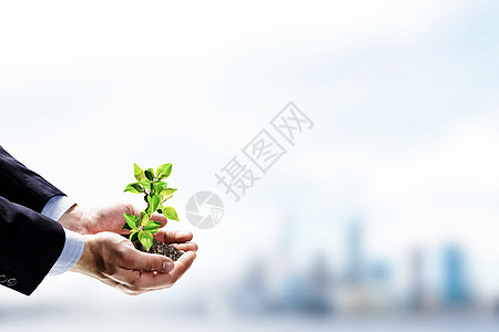 手中发芽特写人手芽的形象图片