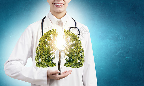 健康的肺特写女医生手里着绿树图片