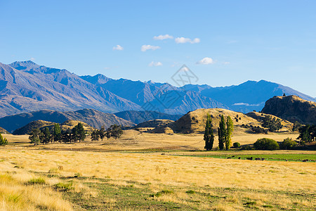 风景如画新西兰阿尔卑斯山田野的自然景观图片