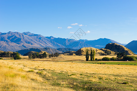 风景如画新西兰阿尔卑斯山田野的自然景观图片