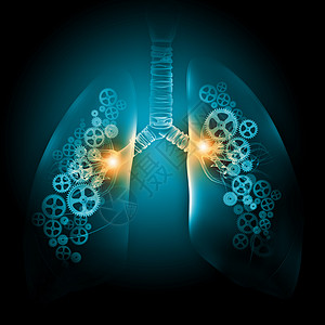 人类的肺用齿轮机构说明人类肺图片