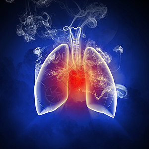 生理学人类肺的示意图彩色背景上同元素的人类肺的示意图拼贴设计图片