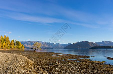 风景如画新西兰阿尔卑斯山湖泊的自然景观图片