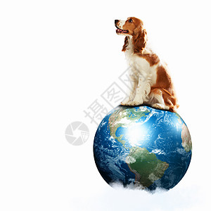 狗与地球狗与地球行星趣的拼贴画这幅图像的元素由美国宇航局提供的图片